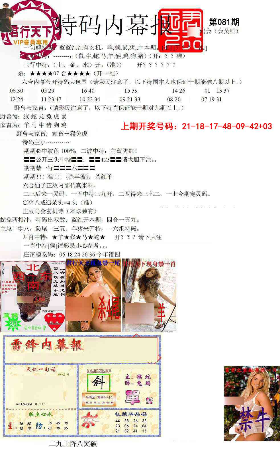 081期特码内幕报[图]